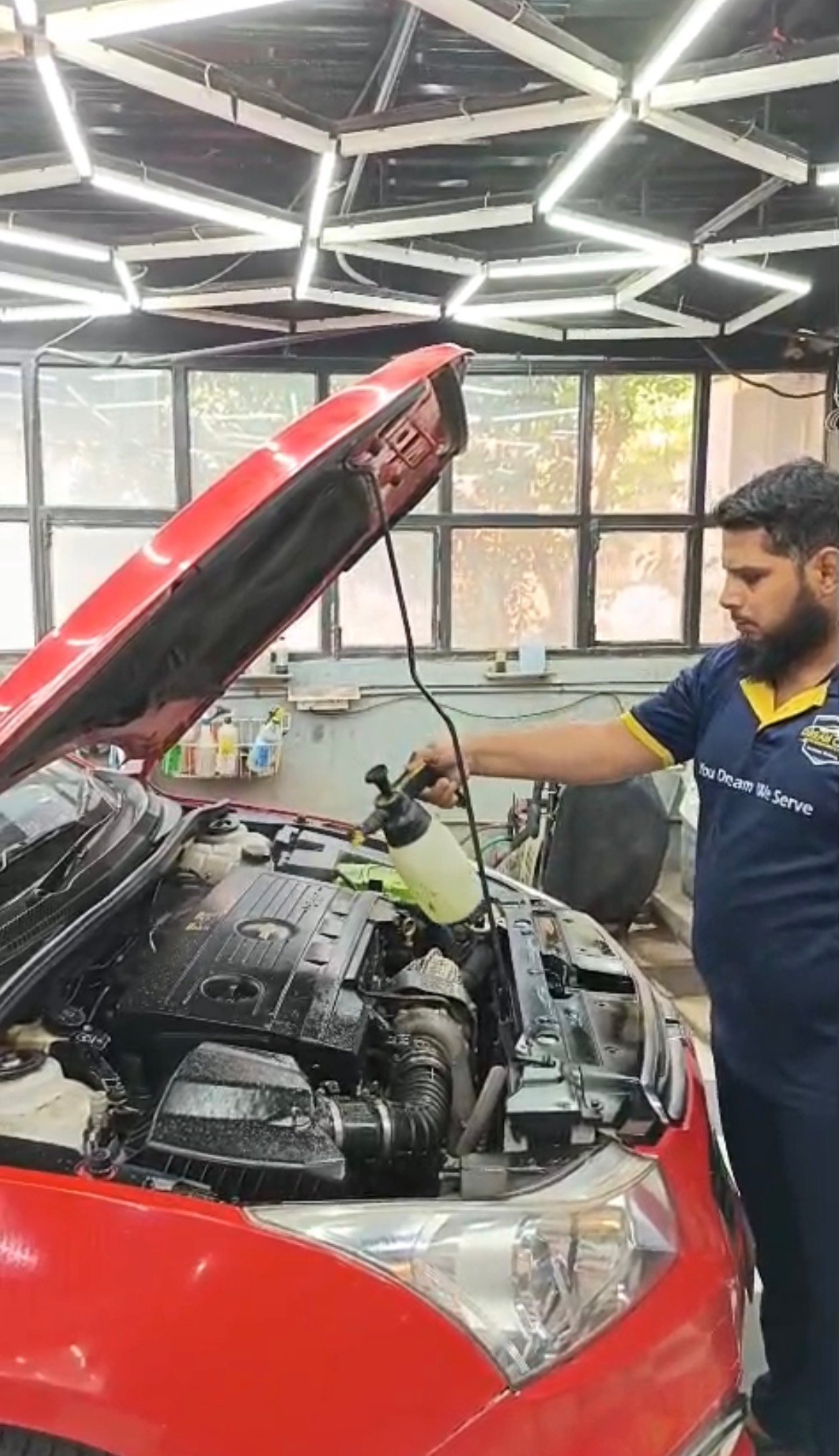 Engine Cleaning Detail